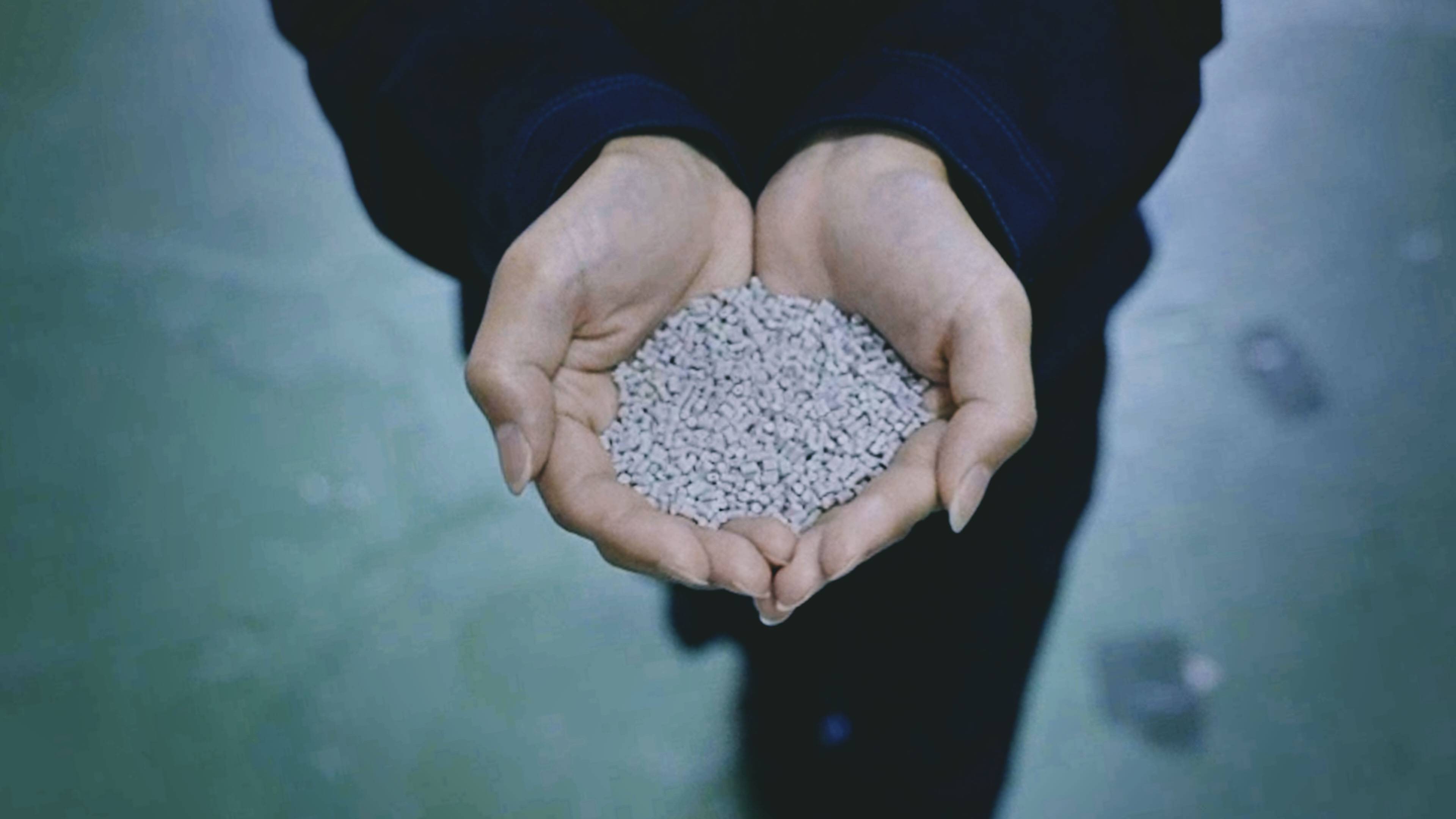 pellets-shellmet Material made from discarded scallop shells, held in someone's hands